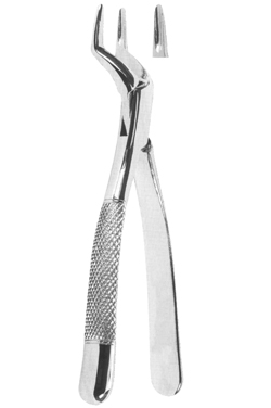 Extracting Forceps American pattern 