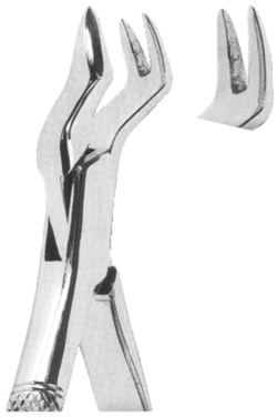 Extracting Forceps American pattern 