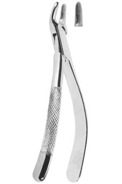 Extracting Forceps American pattern 