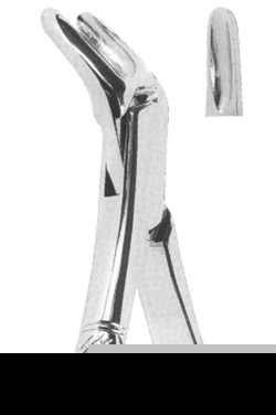 Extracting Forceps American pattern 