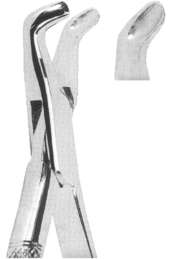 Extracting Forceps American pattern 