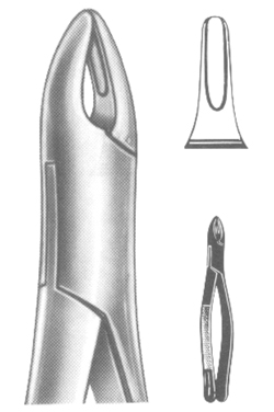 Extracting Forceps American pattern 