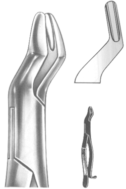Extracting Forceps American pattern 