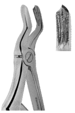 Extracting Forceps For Children- Klein Pattern