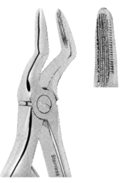 Extracting Forceps For Children- Klein Pattern