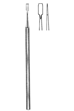 Bone Files and Chisels 
