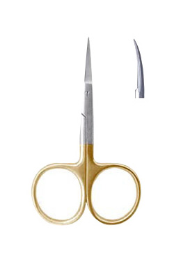 All Purpose Scissor 