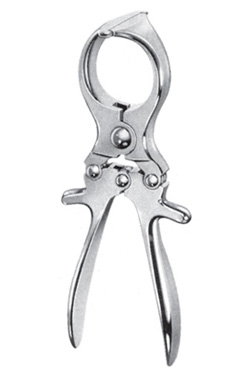 Castration Forceps 