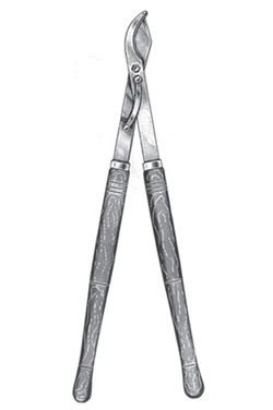 Claw Scissors for Cattles