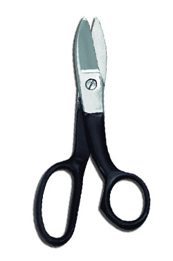 Post Mortem Scissors