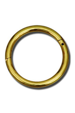 Bull Rings